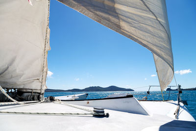 Sailboats sailing in sea against clear blue sky