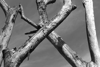 Low angle view of bare tree against sky