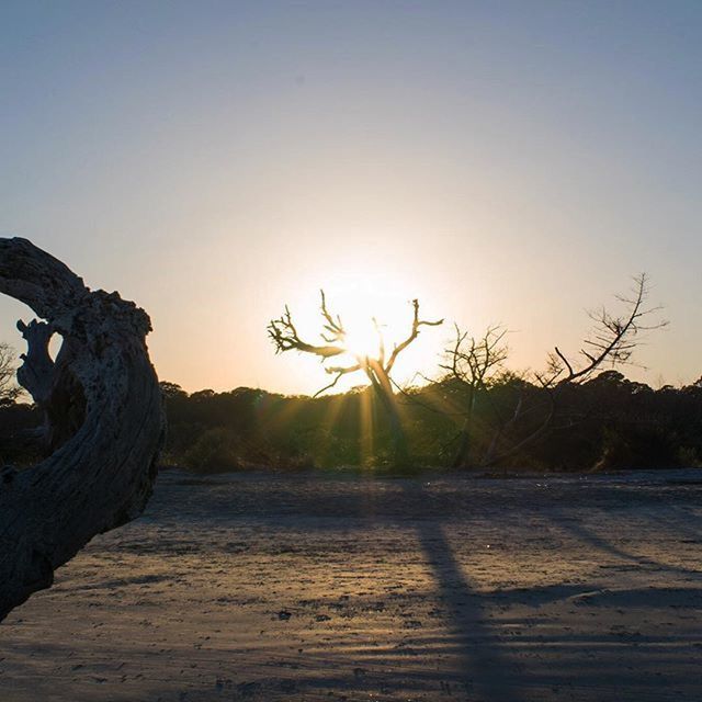 clear sky, sunset, sun, silhouette, tranquility, tranquil scene, copy space, scenics, nature, tree, beauty in nature, sunlight, water, sky, landscape, idyllic, non-urban scene, bare tree, outdoors, lake