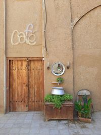 Potted plant on wall