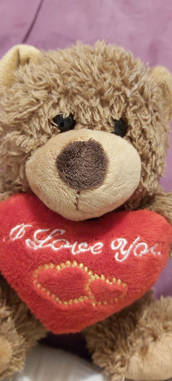 CLOSE-UP OF TEDDY BEAR WITH TOY ON BACKGROUND