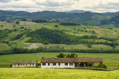 Scenic view of agricultural field