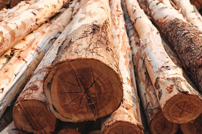 Full frame shot of logs in forest