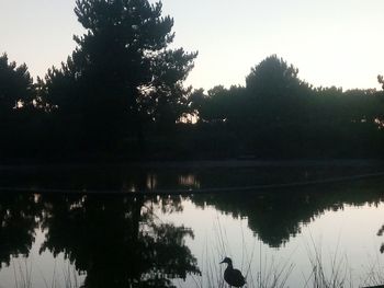 Reflection of silhouette trees in lake against sky