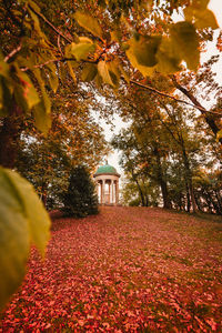 Red flowering plants and trees by building during autumn