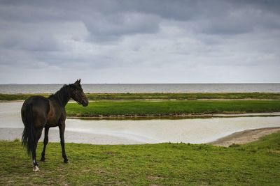 Scenic view of sea against cloudy sky