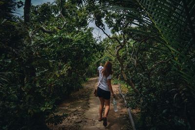 Rear view of woman walking on footpath amidst trees in forest