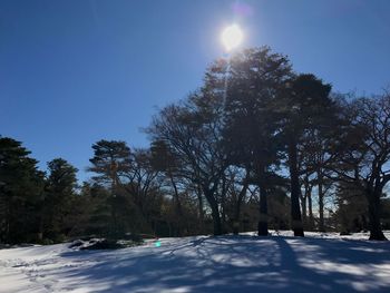 Trees on snow covered landscape against blue sky