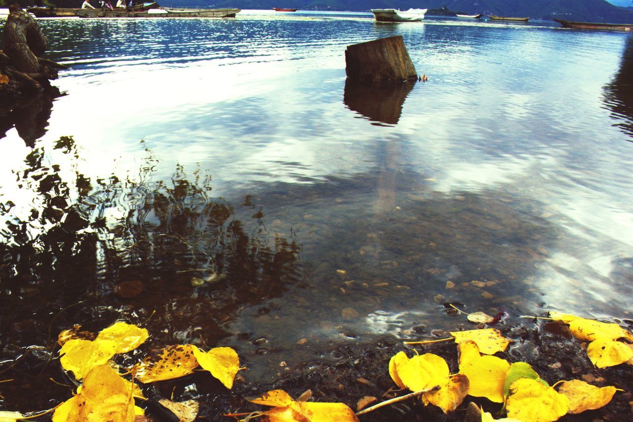 water, reflection, tranquility, lake, nature, beauty in nature, high angle view, tranquil scene, rock - object, scenics, rippled, yellow, floating on water, leaf, outdoors, day, pond, sunlight, idyllic, no people