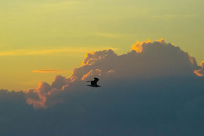 View of sky at sunset