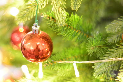 Close-up of christmas decoration hanging on tree