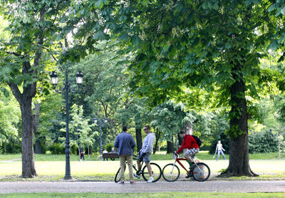 People riding bicycle in park