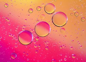 Close-up of water drops on pink over white background