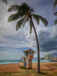 Palm tree by sea against sky