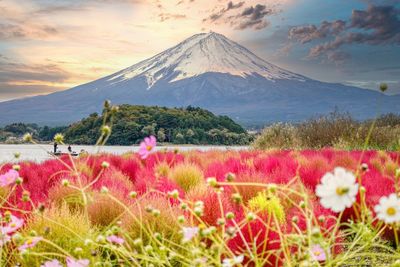 Scenic view of field against mountain