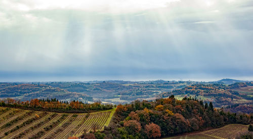 Panoramic view of agricultural landscape against sky