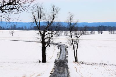 Bare trees on snow covered field against sky