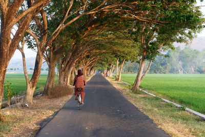 Rear view of man riding bicycle on road