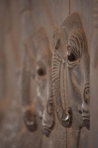 Close-up of lion statue