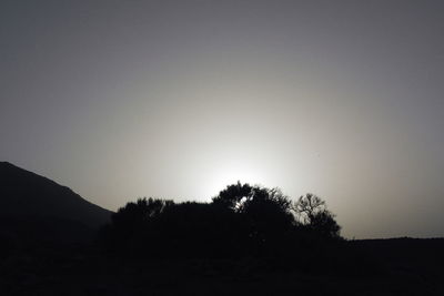 Silhouette trees against clear sky at dusk