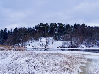 Scenic view of snow covered trees against sky