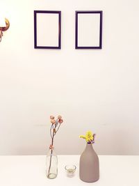Flowers in vase against white background