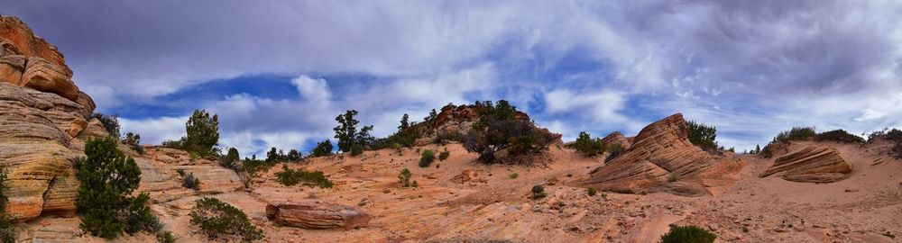 Panoramic view of trees on landscape against cloudy sky