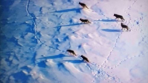 High angle view of snow on landscape