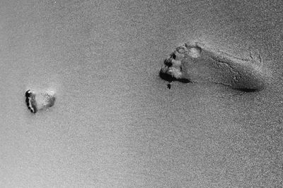 High angle view of footprints on sand