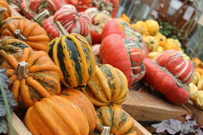 Close-up of pumpkins for sale at market