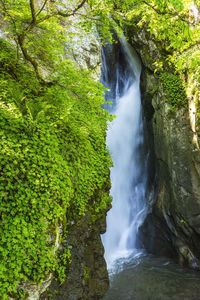 Scenic view of waterfall in forest