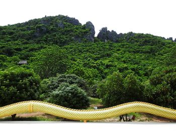 Close-up of lizard on tree against mountain