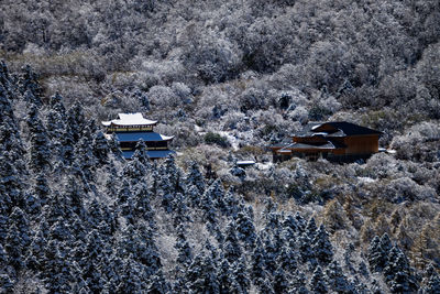 Scenic view of snow covered field