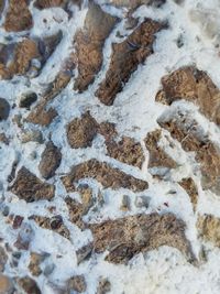 Full frame shot of stone wall