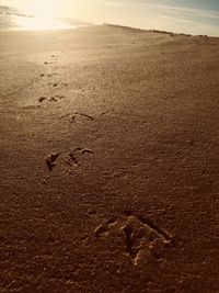 High angle view of footprints on sand at beach