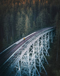 Aerial view of woman standing on railroad track by trees in forest