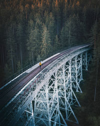 Railroad tracks amidst trees in forest