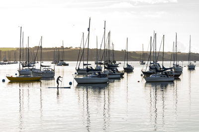 Sailboats moored in harbor