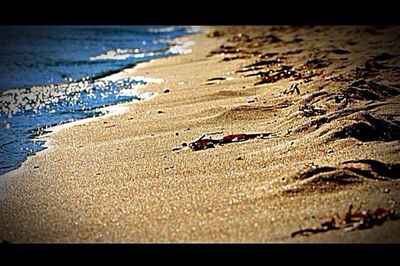 Scenic view of beach