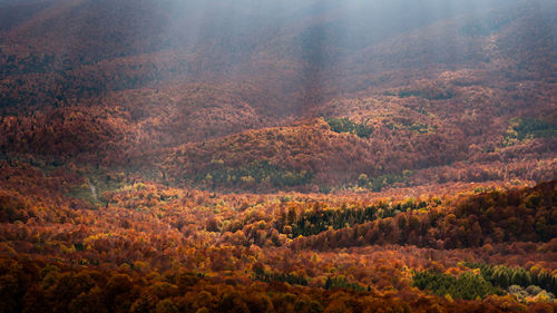 Scenic view of landscape during foggy weather