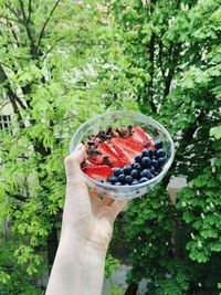 Cropped hand of person holding fruits in bowl