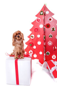 Dog sitting by artificial christmas tree and presents against white background