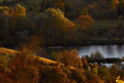 Scenic view of lake in forest during autumn