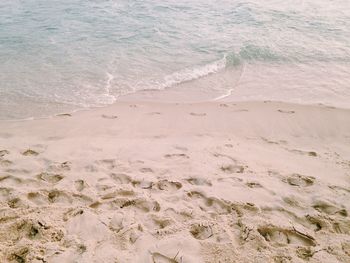 Scenic view of beach