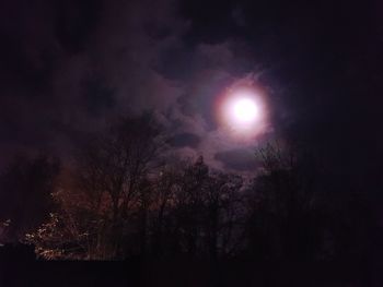 Low angle view of silhouette trees against sky at night