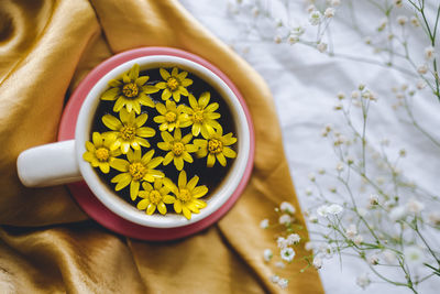 High angle view of flowering plants on table