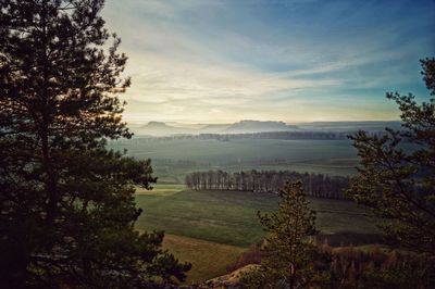 Scenic view of field against sky