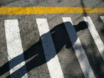 High angle view of zebra crossing on road