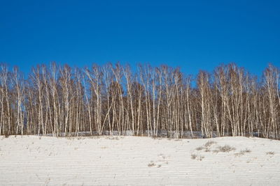 Snow covered landscape against clear blue sky