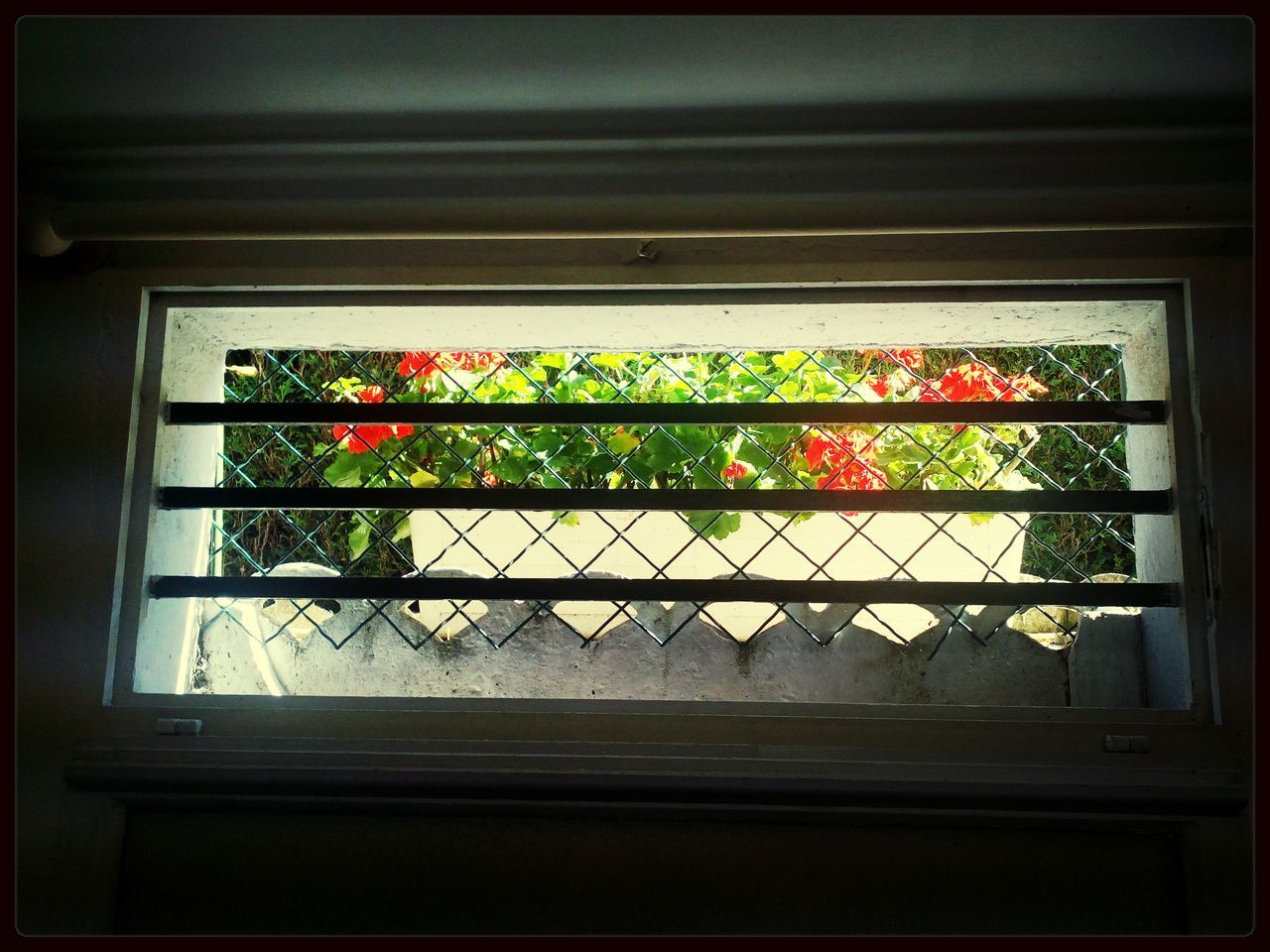 window, flower, indoors, glass - material, potted plant, growth, window sill, transparent, plant, transfer print, decoration, closed, home interior, house, fragility, freshness, vase, flower pot, wall, auto post production filter